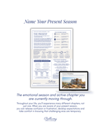 Bellamy Master Assessment, a preview of the Past Self results.